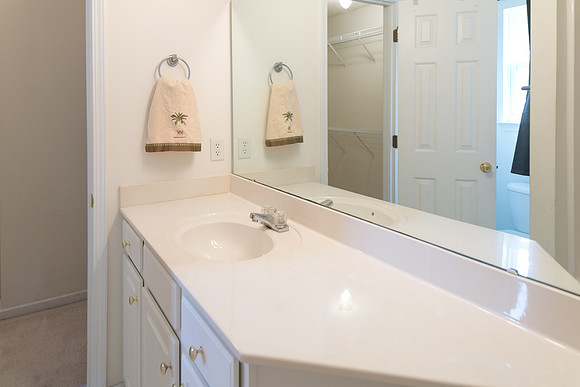 For Sale: 111 Kwanzan Drive, Lexington SC 29072