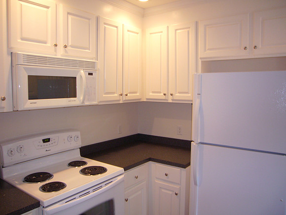 434 Cami Forest Ln | Available July 1st | $850