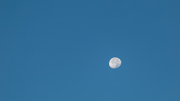 Daytime Moon, September 1, 2015