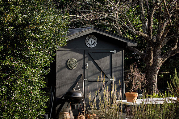 Garden Shed late afternoon