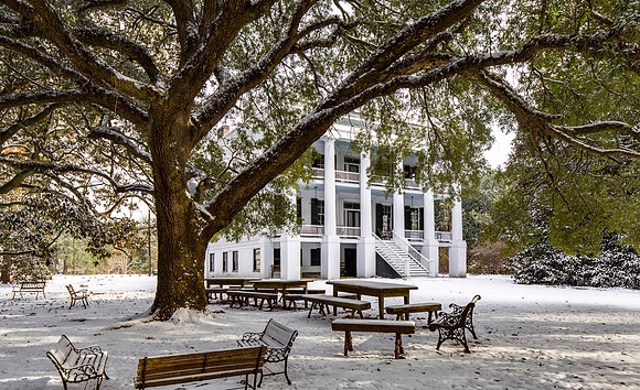 Wavering Place Plantation in the Snow.  January 29, 2014