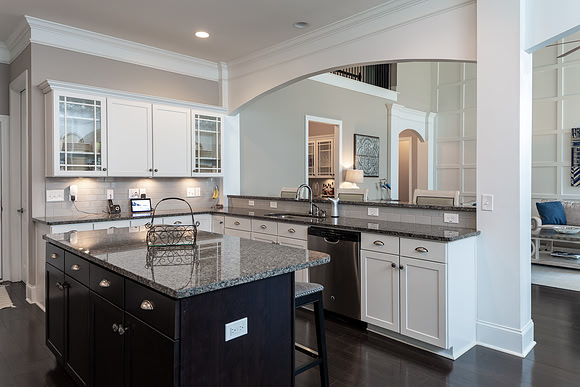 259 Brookridge Drive, Chapin, SC 29036