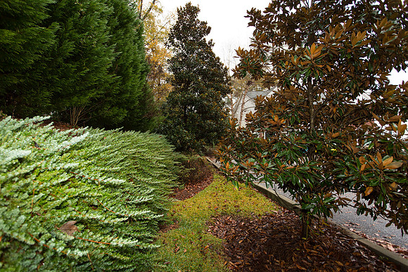 39 Magnolia Glen | Columbia SC 29209 | Rosewood $99,000