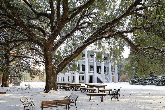 Wavering Place Plantation, Antebellum Home, South Carolina